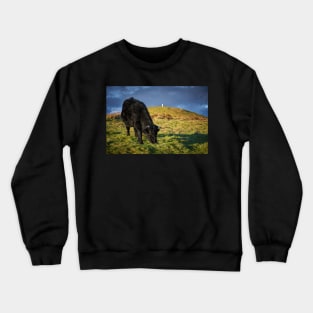 Grazing Crewneck Sweatshirt